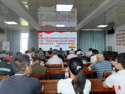 高铁岭镇：主题党日激发乡村振兴新动能