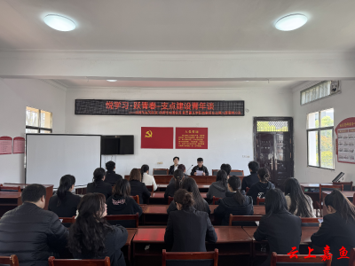 悦学习·跃青春——鱼岳镇北街社区开展“支点建设青年谈”活动