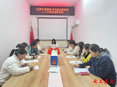 鱼岳镇小湖社区开展“悦学习・跃青春——支点建设青年谈”主题活动