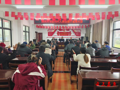 簰洲湾镇复阳村召开人民议事厅选举大会