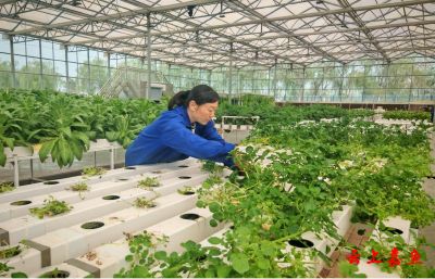 湖北谷神科技在2025中国种子大会上获评AAA信用等级企业