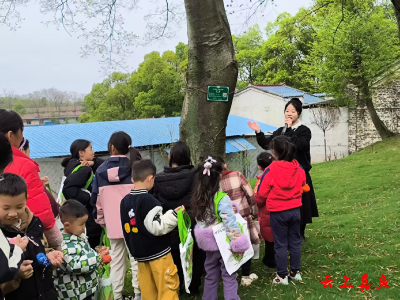 渡普镇人大：守护古树 传承文明