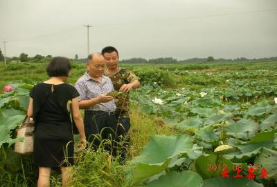 退休老干部银发逐梦 把论文写在南嘉大地上