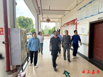 陆溪镇人大：安全“体检”护航夕阳红