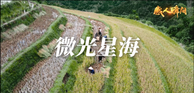 微光星海