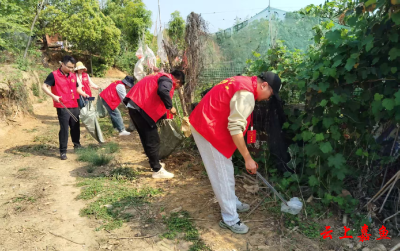 渡普镇人大：红马甲染亮阡陌间