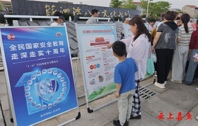 簰洲湾镇开展全民国家安全教育日主题普法宣传活动
