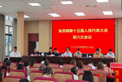 鱼岳镇第十五届人民代表大会第六次会议召开