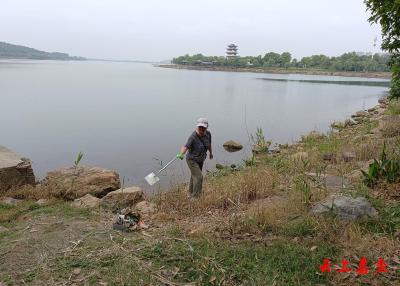 嘉鱼：常态化开展环湖洁湖活动