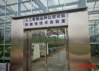 嘉鱼谷神科技公司：培育优良蔬菜品种 助力乡村产业振兴