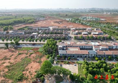 官桥镇朱砂村：农旅融合打造家门口的“金饭碗”