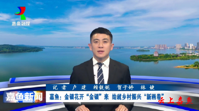 嘉鱼：金银花开“金银”来 绘就乡村振兴“新画卷”