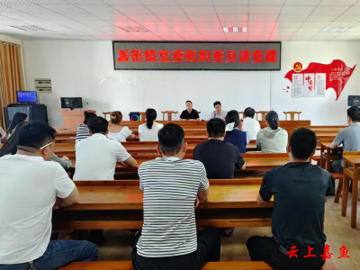 新街镇2025年上半年入党积极分子培训班圆满结束