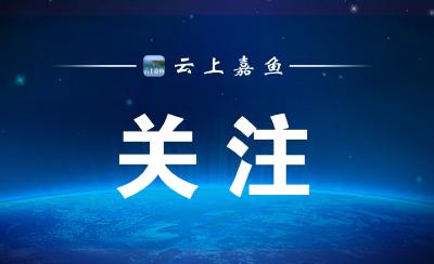 嘉鱼一周新闻摘要（4月28日-5月04日）