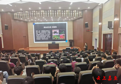 安全教育进校园 护航青少年健康成长