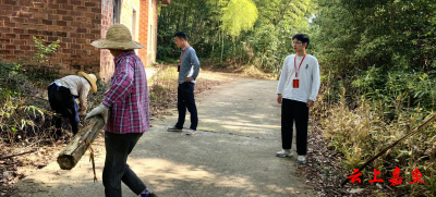 高铁岭镇人大：给村庄卸妆又化妆