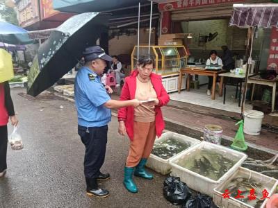 县城管综合执法大队扎实开展安全生产与防灾减灾宣传活动