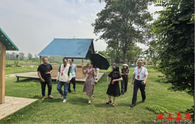 嘉鱼文旅康养产业代表小组：文旅融合的“甜”与“涩”