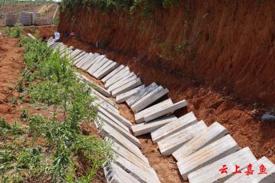 【实施产业倍增 聚焦支点建设】高铁岭镇九龙村：以工代赈项目助力村民增收