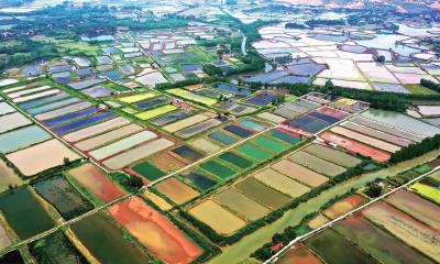 湖北嘉鱼：斑斓渔乡入画来