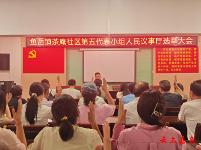 鱼岳镇茶庵社区：人民议事厅选举大会顺利举行