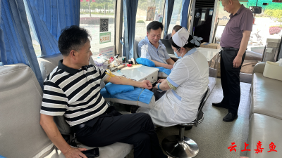 新街镇党员干部热血传真情