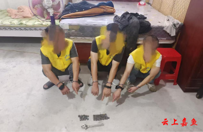 嘉鱼公安：小螺母带破系列案