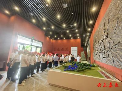 鱼岳镇小湖社区：缅怀抗洪壮举，汲取奋进力量