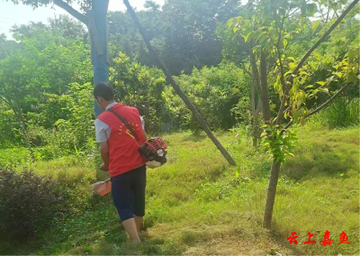 高铁岭镇：除草护绿焕新颜
