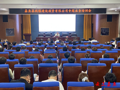 嘉鱼城投公司召开专题业务培训会