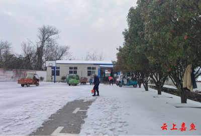 四十年扎根乡土 黄晓波用坚守诠释党员担当