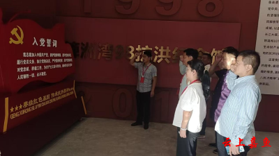 鱼岳镇人大第二代表小组：弘扬抗洪精神 凝聚奋进力量
