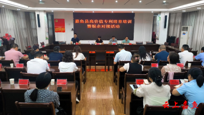 嘉鱼县举办高价值专利培育培训暨银企对接活动