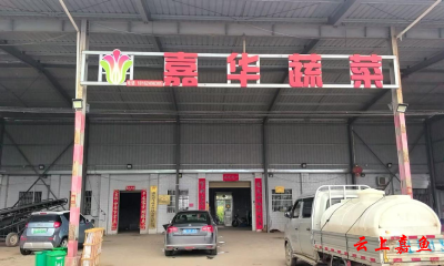 耿良飞：放弃“铁饭碗” 带领乡亲共绘乡村振兴蓝图