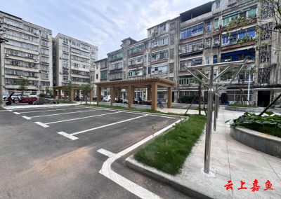 鱼岳镇东街社区工行片区党支部红色领航自治路