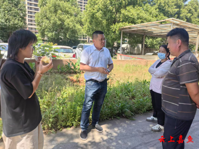 党员金星：以“红色担当”照亮小区治理之路