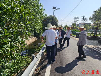 人大代表齐发力环境整治见实效——鱼岳镇人大第一代表小组开展人大代表助力人居环境整治专项行动