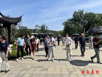 鱼岳镇三湖社区：银发赏桃园 共话新发展