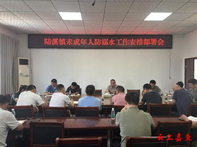 陆溪镇召开未成年人防溺水工作安排部署会