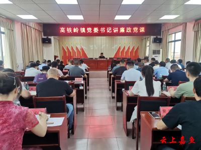 高铁岭镇：书记讲党课深入贯彻中央八项规定精神学习教育