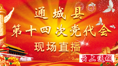 中国共产党通城县第十四次代表大会现场直播