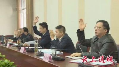 通城县委召开十三届第十二次全体会议