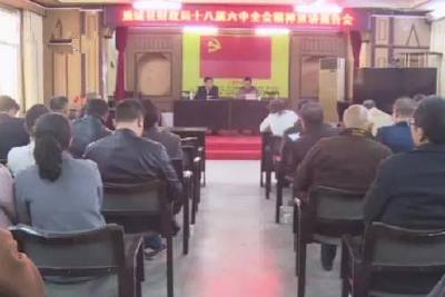 通城县财政局学习贯彻十八届六中全会精神