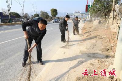 清洁市容迎新春 通城县组织干部职工开展环境卫生大扫除活动