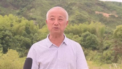 五里镇汉上村产业扶贫结硕果