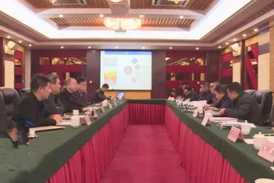 北京神雾集团到通城洽谈垃圾处理项目合作事宜