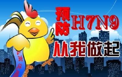 H7N9防控知识