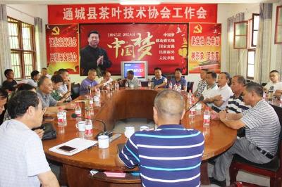 通城县茶叶技术协会举行全体会员大会 选举产生新一届协会领导班子成员