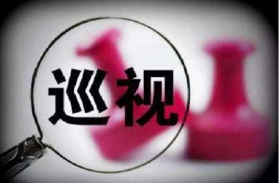 【受权发布】湖北省委第十巡视组巡视公告
