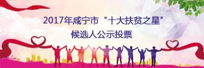 2017年咸宁市“十大扶贫之星”候选人公示投票